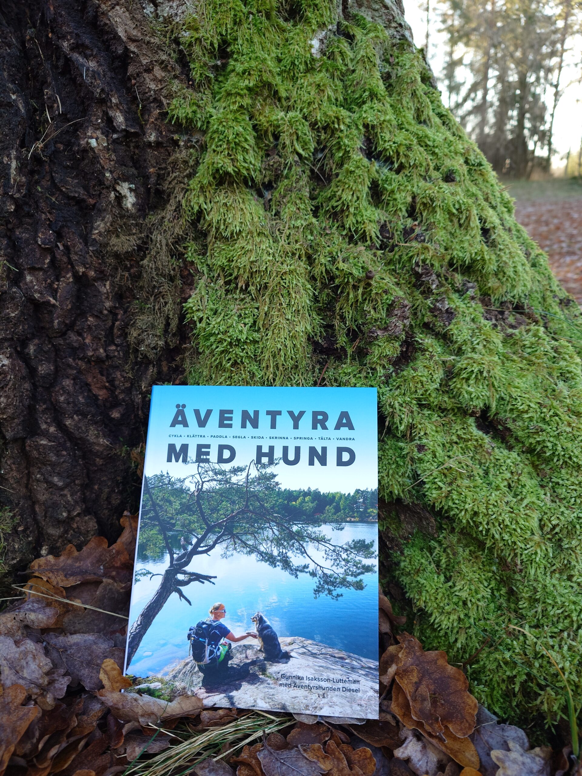 Äventyra med hund - Bild 11