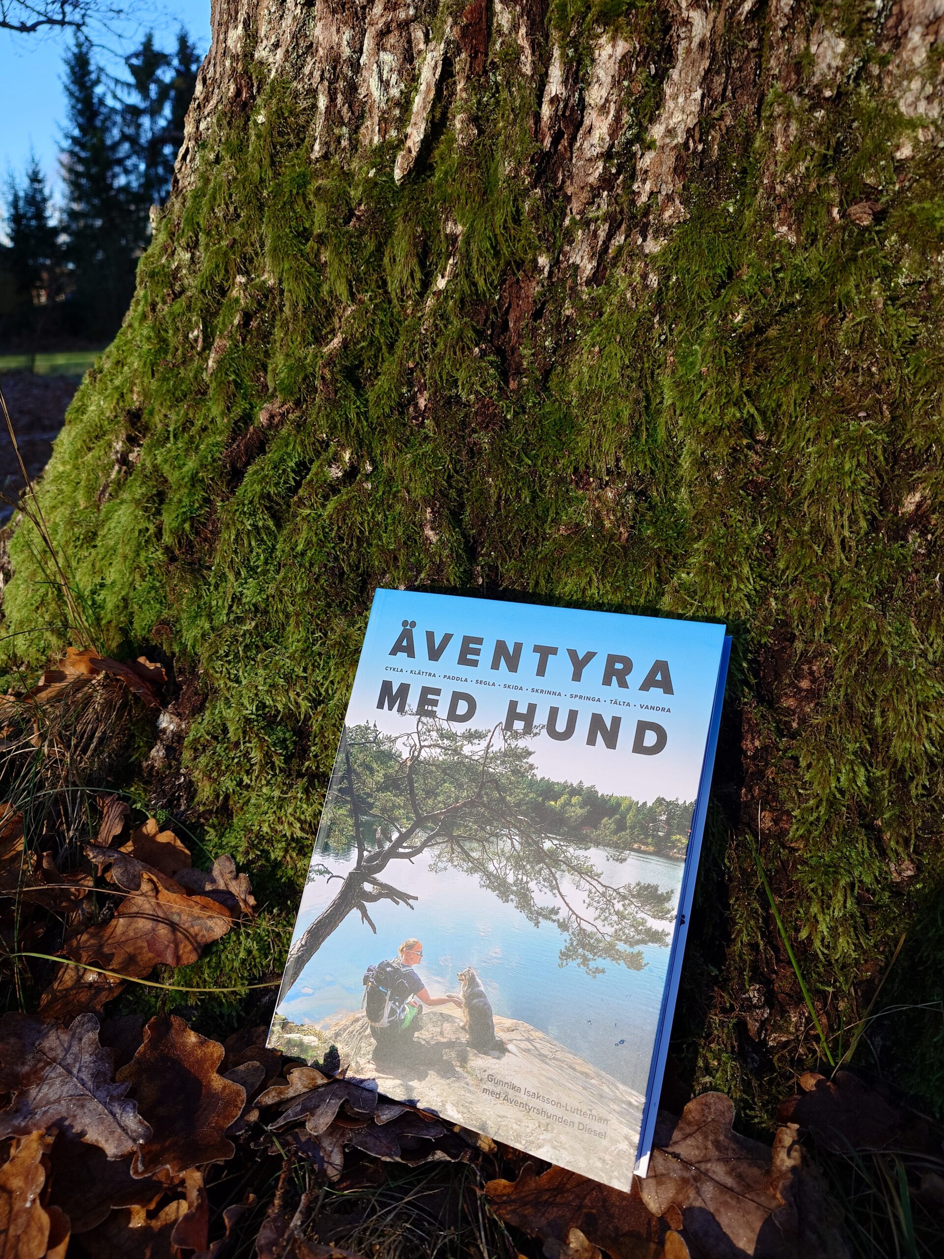 Äventyra med hund - Bild 8