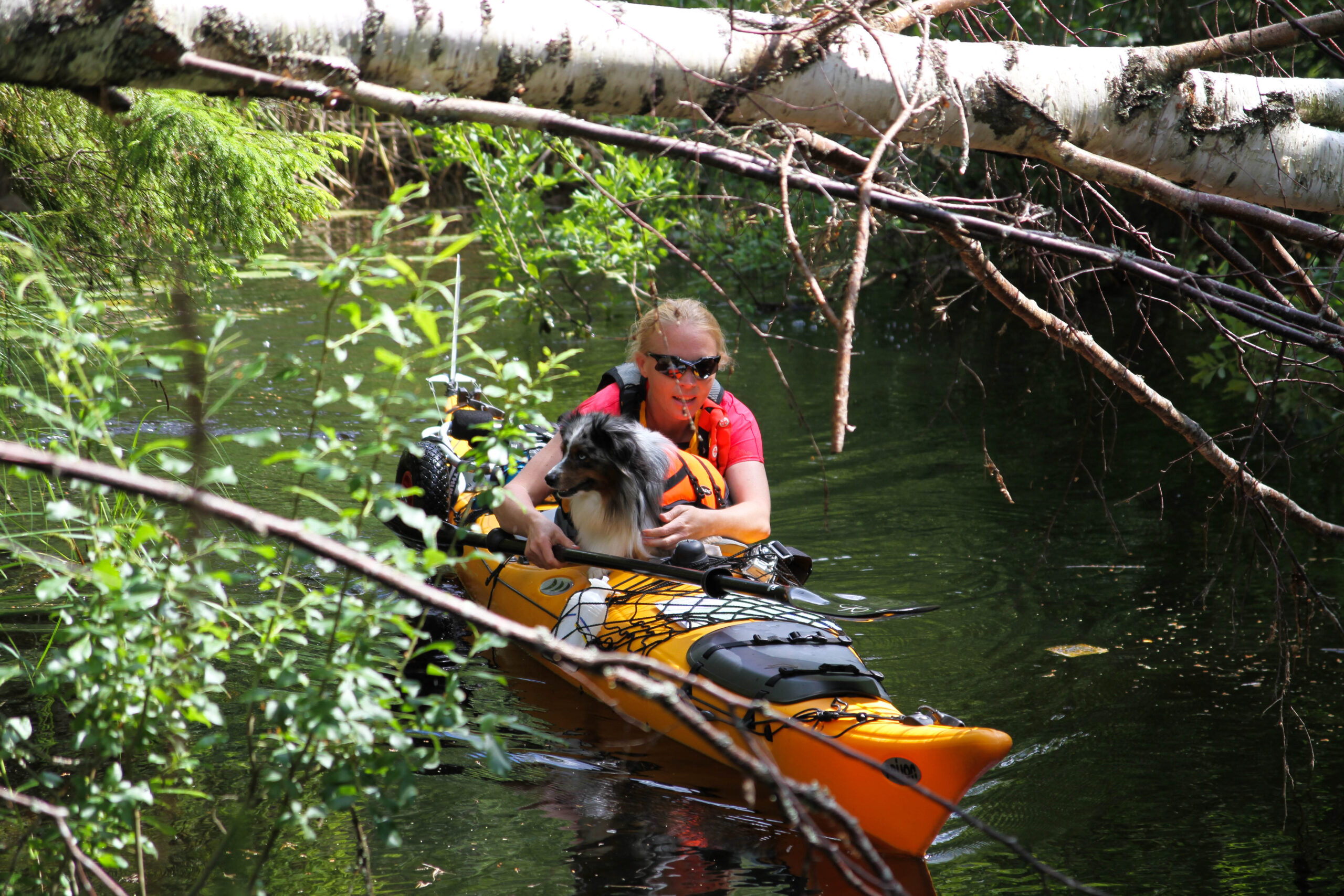 Äventyra med hund - Bild 4