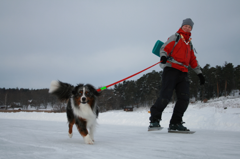 Äventyra med hund - Bild 7