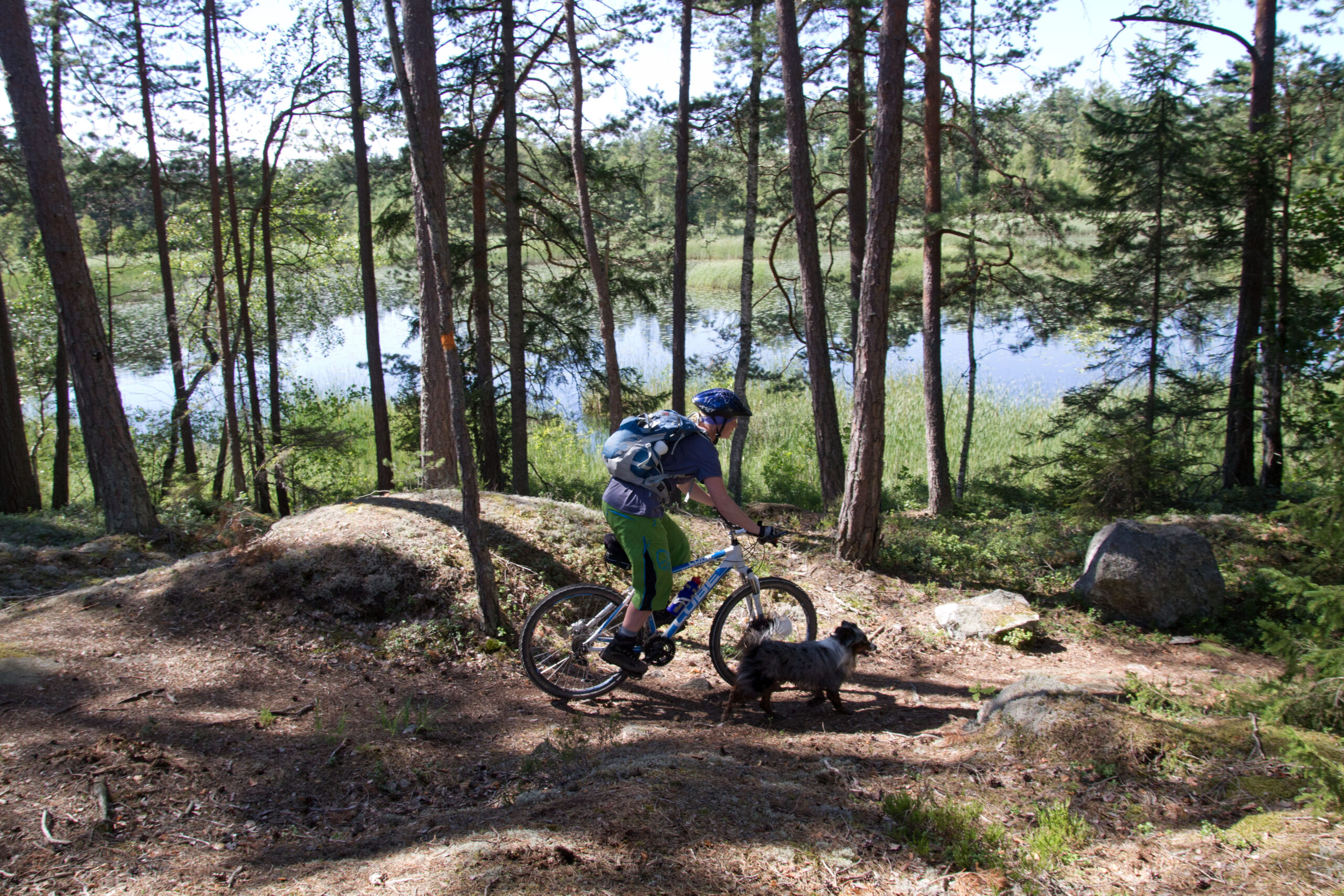 Äventyra med hund - Bild 9