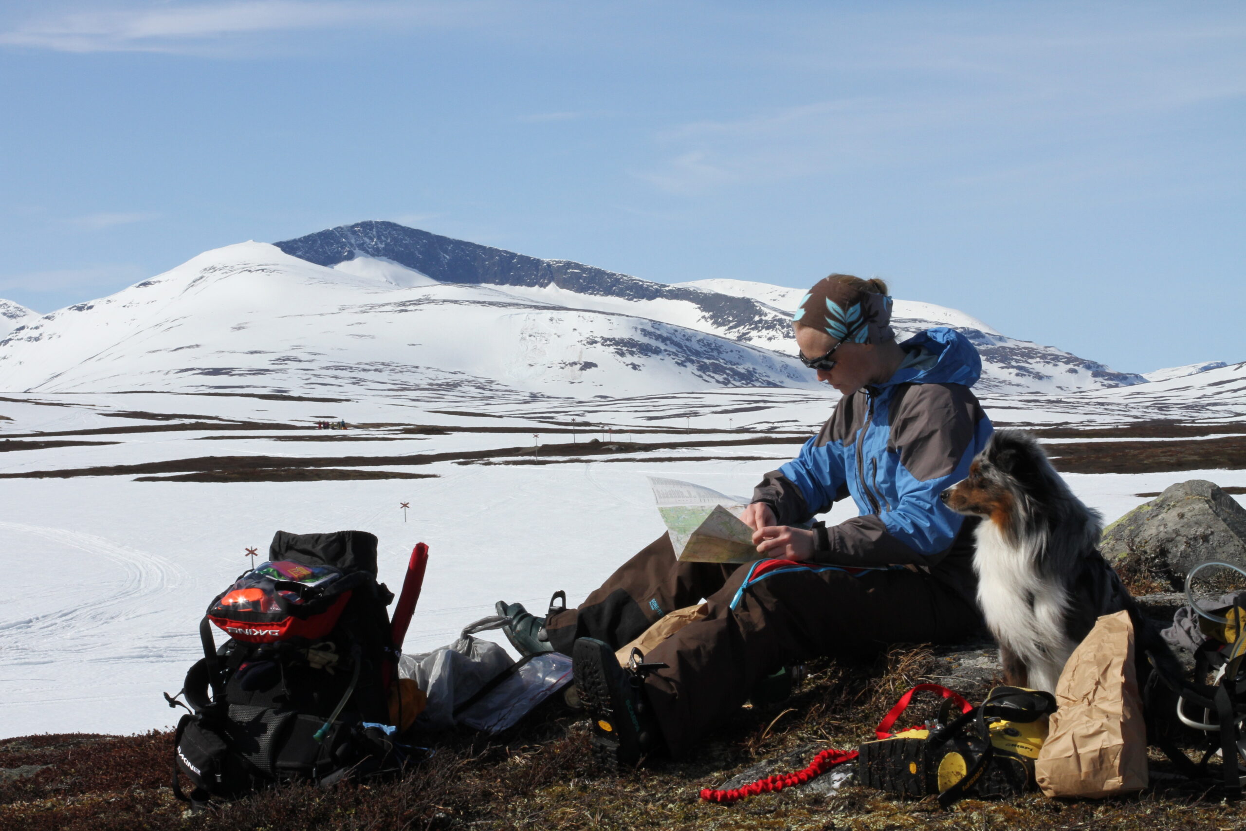 Äventyra med hund - Bild 10