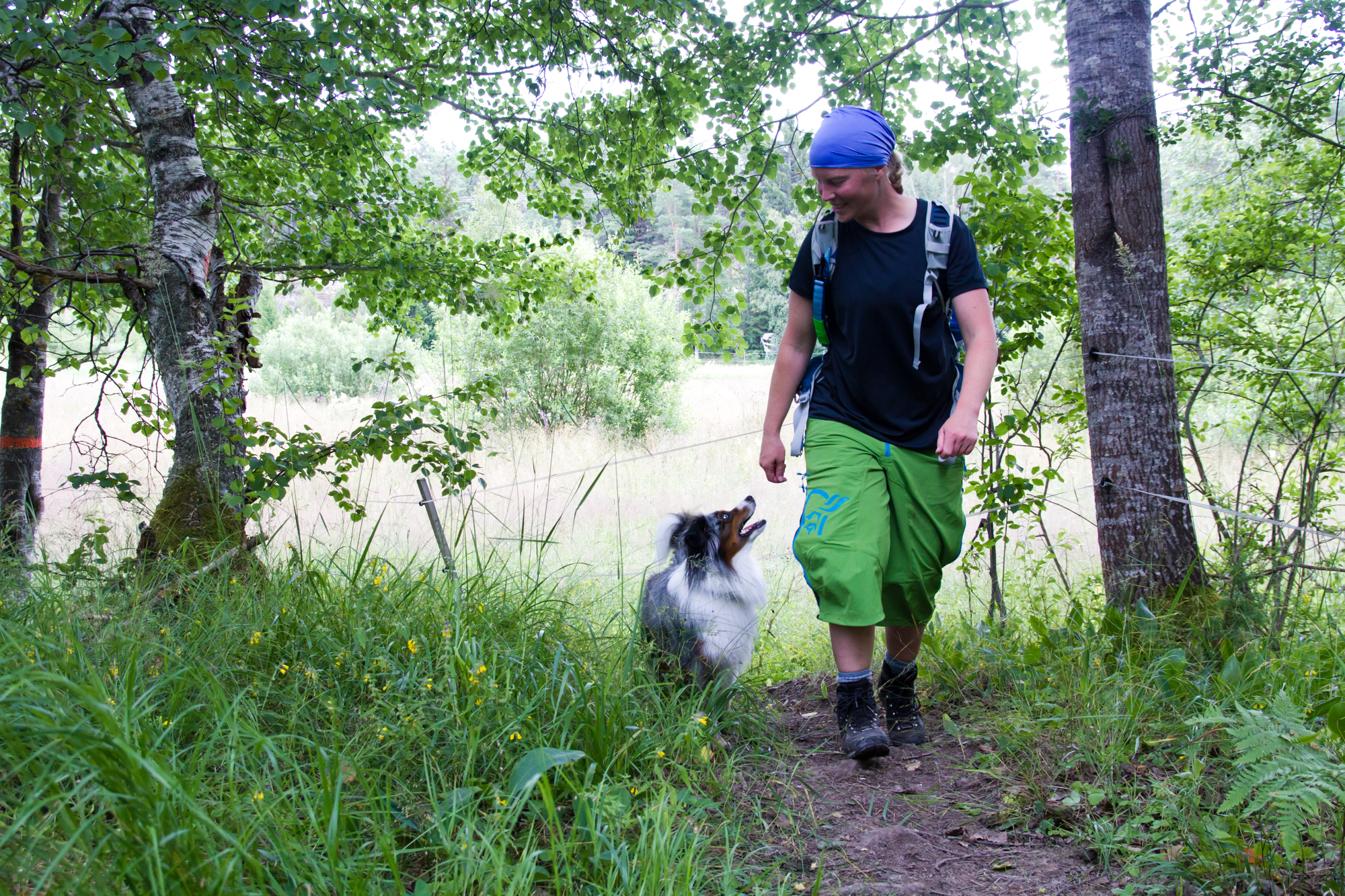 Äventyra med hund - Bild 12