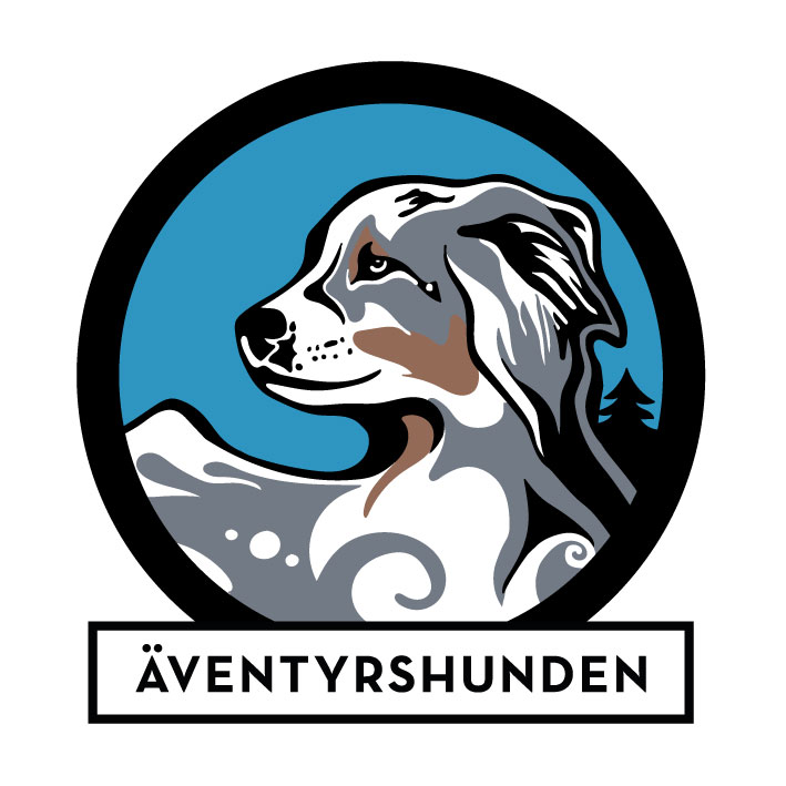 Äventyra med hund - Bild 13